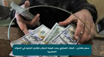 سعر مفاجئ.. البنك المركزي يحدد قيمة الدولار مقابل الجنيه في البنوك المصرية